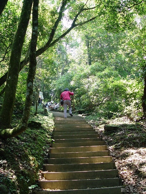有幾段路,還真的很陡,還好我有帶登山杖