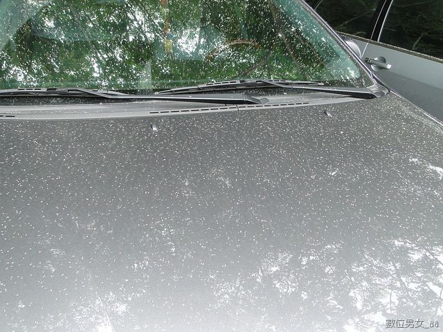 不過停在下面的車子就慘了