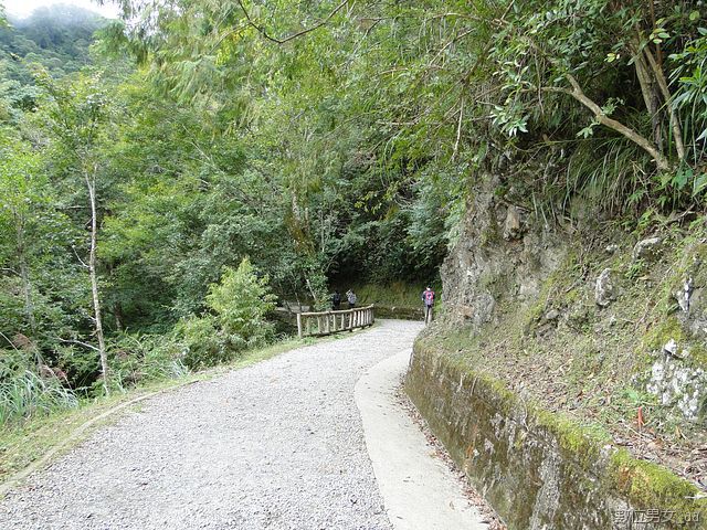 開始進入森林步道