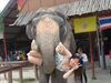 被112岁的大象举起!!