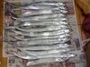 08/09-19 休三天釣三天～1 DAY-下半 ..