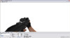 Pimp My Gun F2000 新设影片